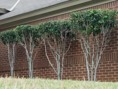 A & C Landscaping and Design - Landscape Construction in Montgomery, AL
