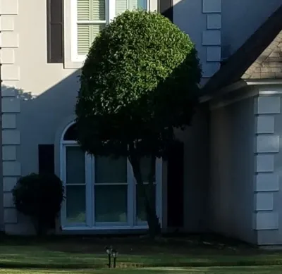 A & C Landscaping and Design - Landscape Construction in Montgomery, AL