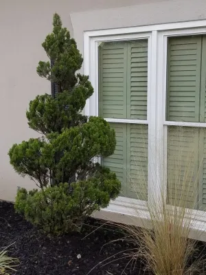 A & C Landscaping and Design - Landscape Construction in Montgomery, AL