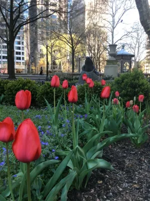 Rittenhouse Square Park by Fine Garden Creations