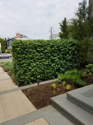 Avalon, NJ — Landscape Design project by Fine Garden Creations