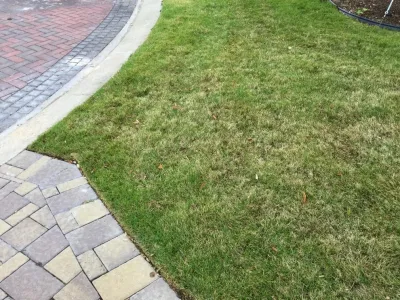 Flair Garden Designs, Inc. - Garden Remodeling in Sugar Land, TX