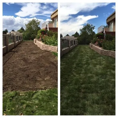 Affordable Landscape Maintenance - Landscape Construction in Albuquerque, NM