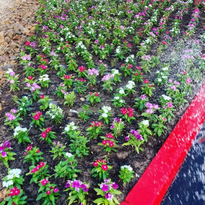 Ainaras maintenance services - Landscape Construction in Las Vegas, NV