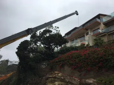 Alari Landscape Construction - Landscape Construction in San Juan Capistrano, CA