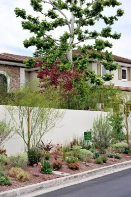Alari Landscape Construction - Landscape Construction in San Juan Capistrano, CA