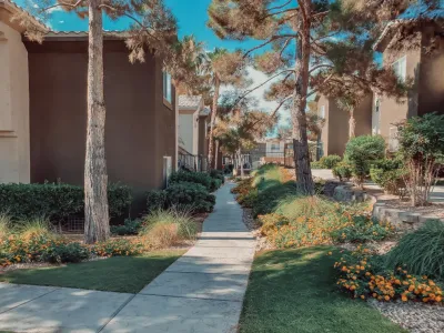 Aldana Studios LLC - Landscape Construction in Las Vegas, NV