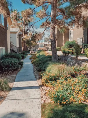 Aldana Studios LLC - Landscape Construction in Las Vegas, NV