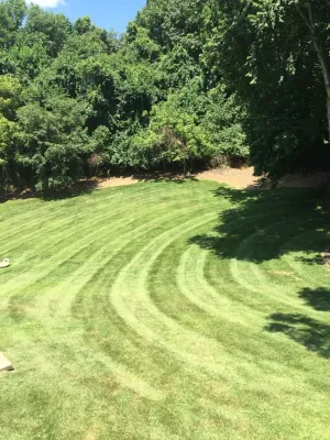 All About Lawns Landscaping - Landscape Construction in Wilmington, DE