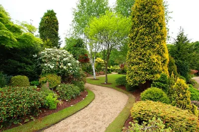 All Terrain Landscape & Irrigation - Landscape Construction in Metairie, LA