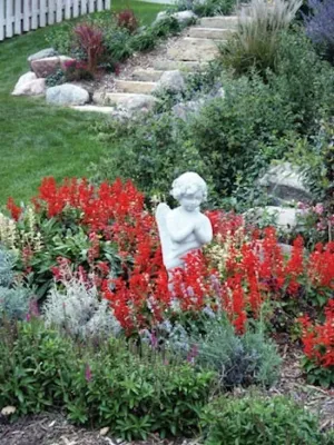 Aloha Gardening INC - Landscape Construction in Boise, ID