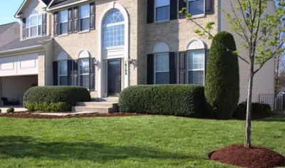 Alpha Omega Enterprises LLC - Landscape Construction in 