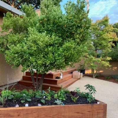 Flowerchild Gardens - Landscape Design in Burlingame, CA