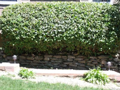 American Landscape, LLC - Landscape Construction in Stamford, CT