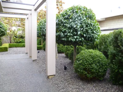 Recent Projects - West Seattle Projects by Folia Horticultural + Design