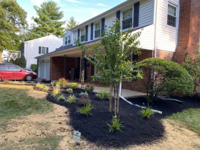 Spalding Road New Landscaping — Landscape Construction project by Arborvine Landscaping, LLC in Wilmington