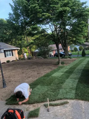 Front yard sod Installation — Landscape Construction project by Arborvine Landscaping, LLC