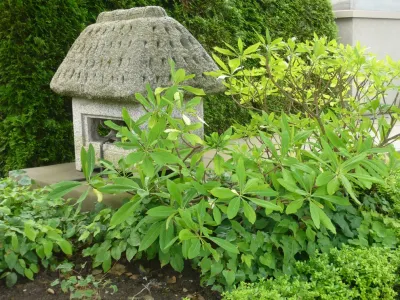 Recent Projects - West Seattle Residence — Landscape Design project by Folia Horticultural + Design in Seattle
