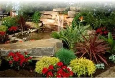 Ark services - Landscape Construction in Lockport, IL