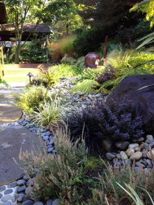 Recent Projects - Bellevue Residence — Landscape Design project by Folia Horticultural + Design in Bellevue