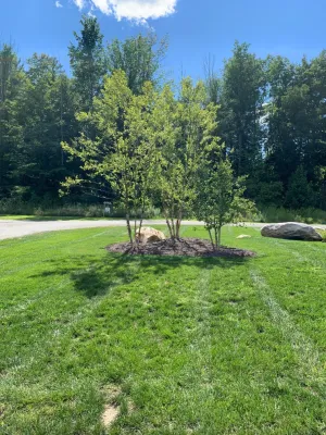 Babaraba, Ltd. - Landscape Construction in Nassau, NY