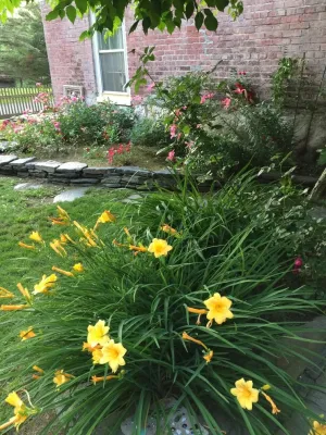 Babaraba, Ltd. - Landscape Construction in Nassau, NY