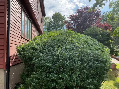 Bcc enterprise llc - Landscape Construction in East Hartford, CT