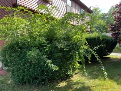Bcc enterprise llc - Landscape Construction in East Hartford, CT