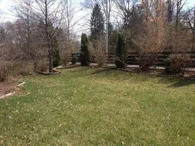 Juniper Forest — Landscape Construction project by Bear Hands Landscaping
