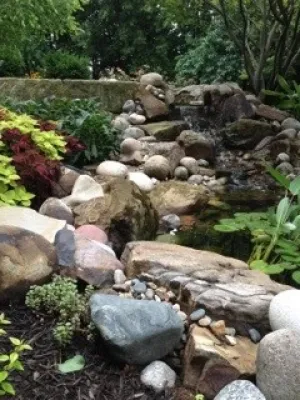 Water Garden — Landscape Construction project by Bear Landscape Inc.