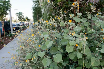 FormLA Landscaping - Landscape Design in Los Angeles, CA