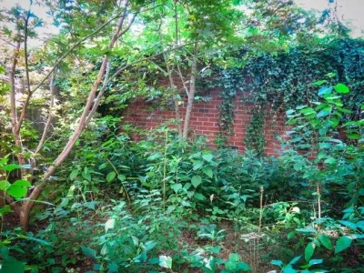 A Small Green Space - Landscape Construction in Jersey City, NJ