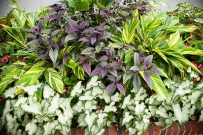 Blackjack Horticulture - Landscape Construction in Birmingham, AL