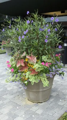Blackjack Horticulture - Landscape Construction in Birmingham, AL