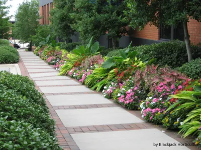 Blackjack Horticulture - Landscape Construction in Birmingham, AL