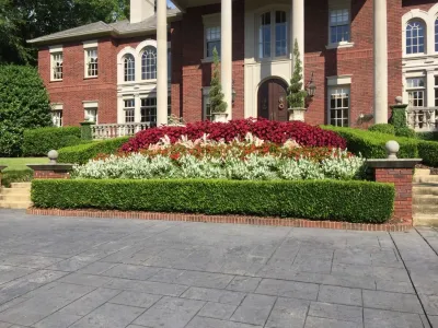 Spring Flowers — Landscape Construction project by Blackjack Horticulture in Birmingham