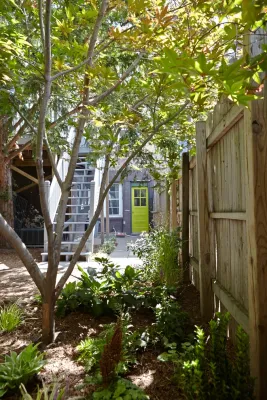 A Small Green Space - Landscape Construction in Jersey City, NJ