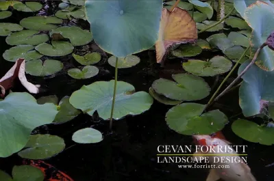 Forristt Landscape Design - Landscape Construction in San Jose, CA