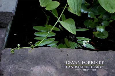 Forristt Landscape Design - Landscape Construction in San Jose, CA