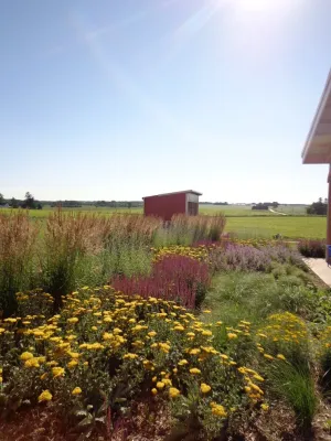 Softened Summer Shelter by Four Of Six Landscape