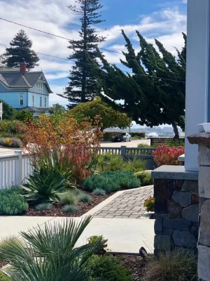 Wildflower Landscape Design at K&D Landscaping - Landscape Design in Santa Cruz, CA