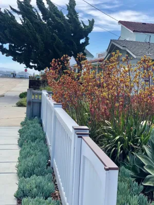 Beachside Curb Appeal by Wildflower Landscape Design At K&D Landscaping