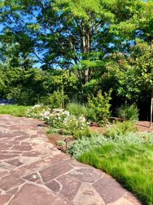 Wildflower Landscape Design at K&D Landscaping - Landscape Design in Santa Cruz, CA