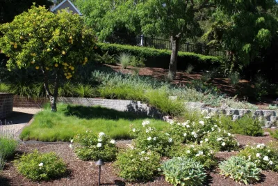 Wildflower Landscape Design at K&D Landscaping - Landscape Design in Santa Cruz, CA
