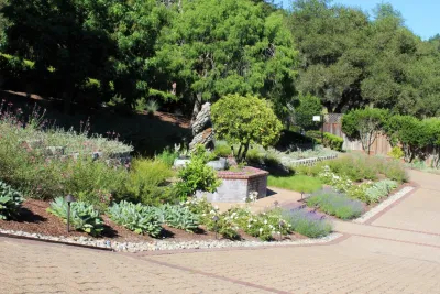 Wildflower Landscape Design at K&D Landscaping - Landscape Design in Santa Cruz, CA
