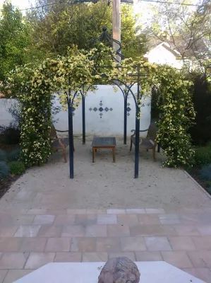 Sacramento Mediterranean Garden-Back Yard by Wildflower Landscape Design At K&D Landscaping