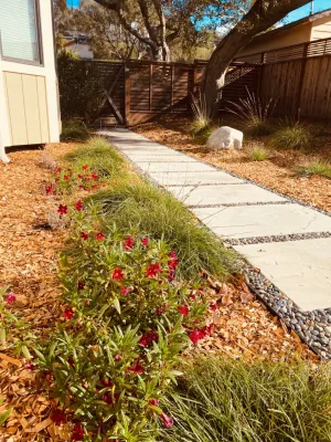 Modern California Native Garden by Wildflower Landscape Design At K&D Landscaping