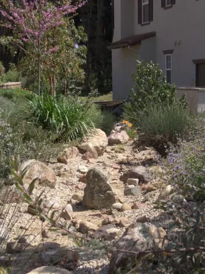 California Native Garden with an Italian Twist — Landscape Design project by Wildflower Landscape Design At K&D Landscaping in Santa Cruz
