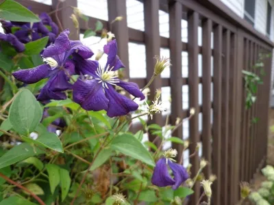 Prairie Pergola — Landscape Design project by Four Of Six Landscape