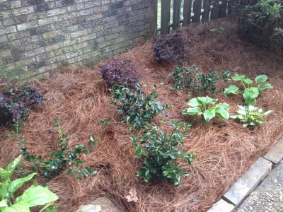 Callaway's Landscape and Irrigation - Landscape Construction in Madison, MS
